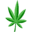 Bud Champion Icon