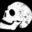 Skullhouse Wraps Icon
