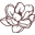 The White Flower Icon
