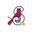 Springfield Cardinals Icon