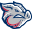 Lehigh Valley IronPigs Icon