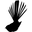 Fantail Icon