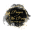 Pamper Me Pretty Lash & Nail Spa Icon