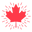 Silver Chains Canada Icon