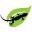 Gecko Grow Icon