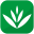 Easy Grow Icon