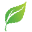 Healthy Extracts Icon
