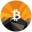 BITMARS Icon