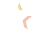 Pure Star Icon