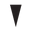 Vero Watch Icon