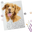 Paintable Pictures Icon