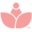 Little Lotus Icon