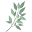 She's Rooted Home Icon