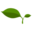 NJDiet Icon