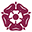 Northamptonshire County Cricket Club Icon
