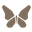 House of Mooshki Icon