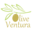 Olive Ventura Icon