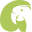 Green Parrot Icon
