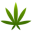 SeedMasters.com Icon