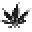 Seed Semillia Icon