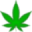 Oaseeds IT Icon