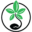 SensorySeeds IT Icon