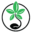 SensorySeeds DE Icon