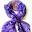 Silk Splash Boutique Icon