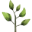 Seed Needs US Icon