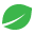 Kind Seed Icon