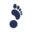 Foot Solutions CA Icon