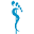 Footlogics USA Icon