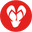 Havaianas APAC Icon