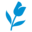EuroParcs Icon