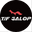 Tifgalop USA Icon