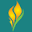 Flametree Yoga Studio Icon