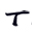 Tung Sung Icon