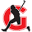 Go Hockey NZ Icon