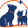 Animal Urgent Care Icon