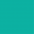 Temple City Animal Hospital Icon