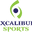 Excalibur Sports Icon