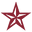 Lone Star Beer Icon