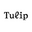 Tulip Shades Icon