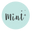 Mint Cleaning Icon