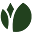 Diamond Tropical Hardwoods Icon