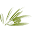 Southern Natural Icon