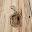 Rustic Saunas Icon