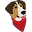 Terrible Toby's Pet Supply Depot Icon