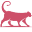 The Daily Cat Icon