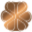 Sinesia Karol US Icon